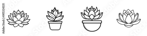 Vector illustration of various succulent plants in decorative pots for contemporary gardening themes