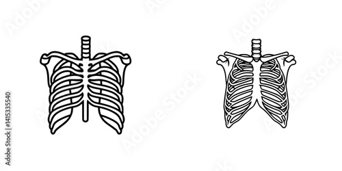Vector illustration of human ribcage anatomy in detailed front and back views for educational purposes