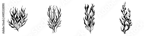Vector illustration of various types of seaweed showcasing unique shapes and patterns in black and white design