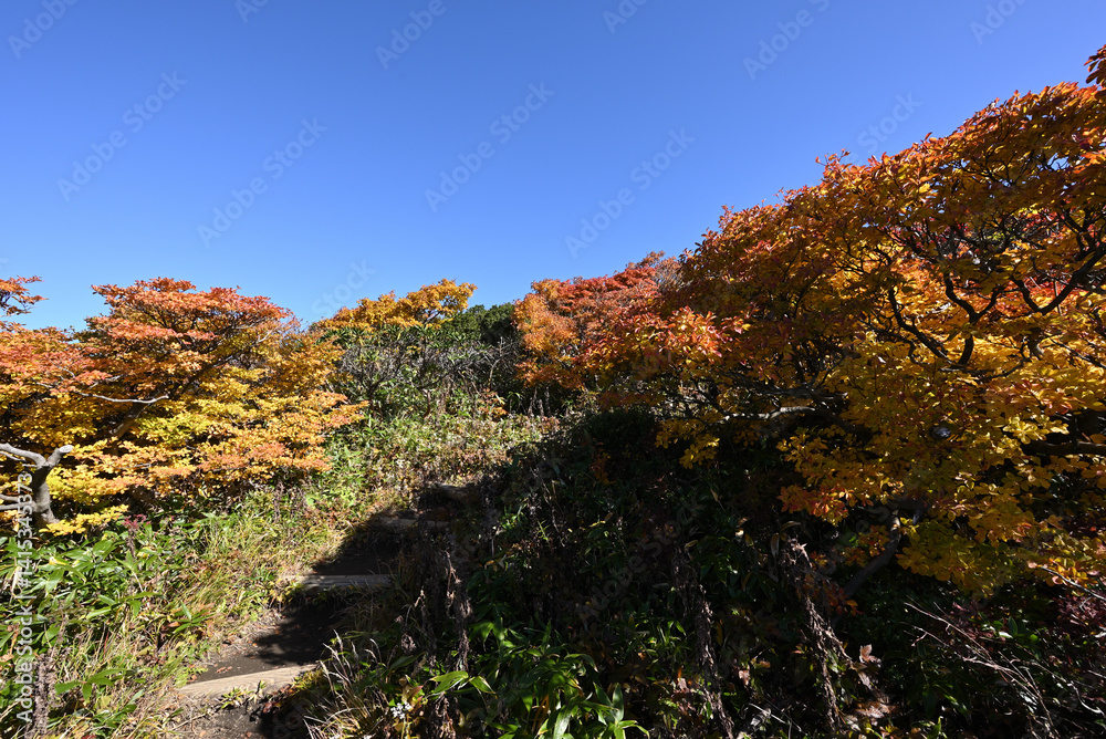 Zao mountain ridge, Miyagi, Yamagata, Japan