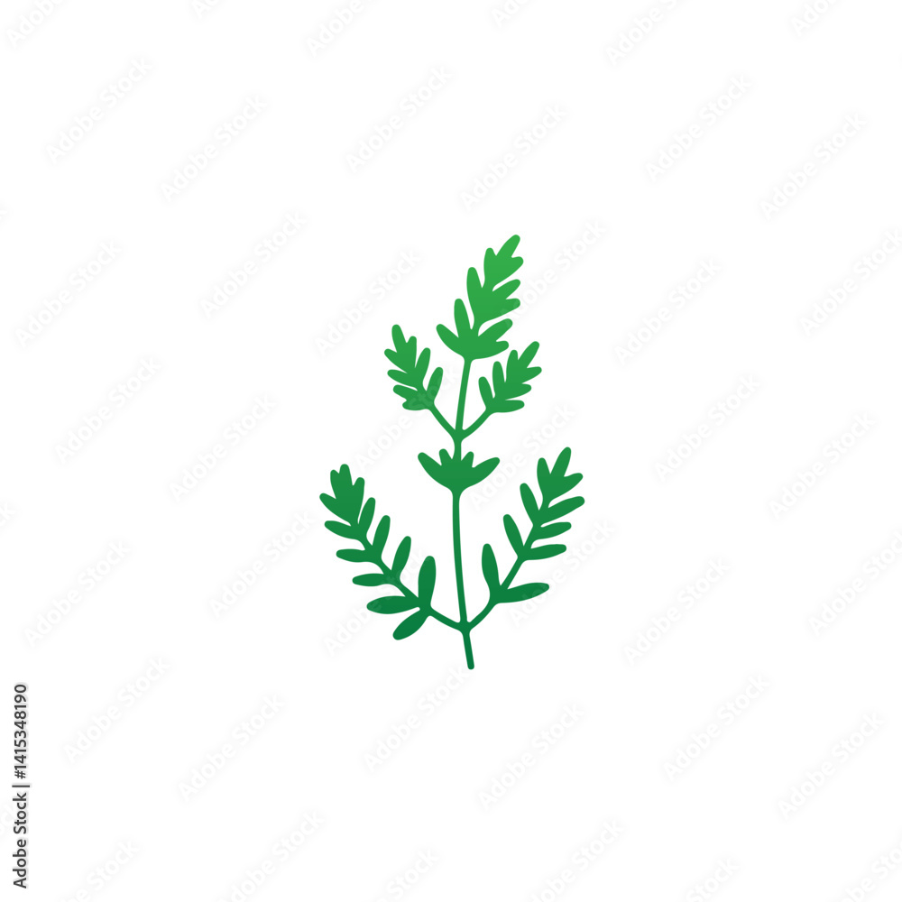 green plant isolated on white green plant isolated on white