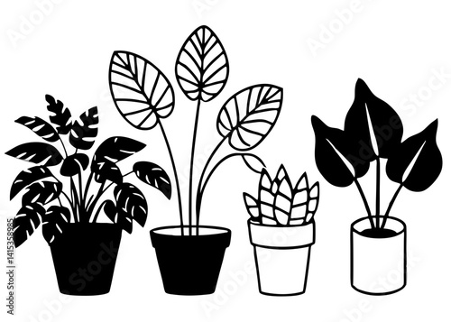 flowers in pots