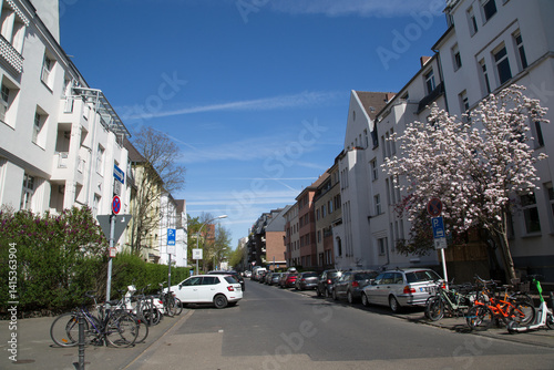 Wichterichstr., Köln Sülz, Frühling 2025