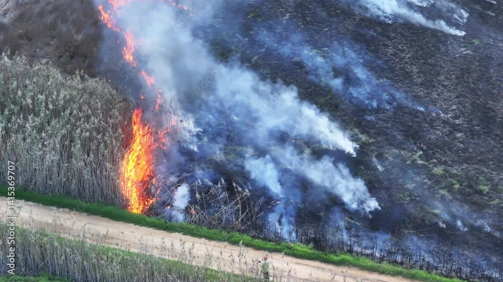 Aerial view of a veld fire raging, seen from directly above. Smoke and flames fanned by wind. 