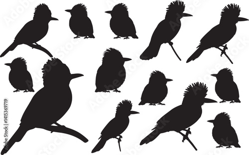 Amazonian Royal Flycatcher Silhouette – Minimal Vector Illustration on White Background