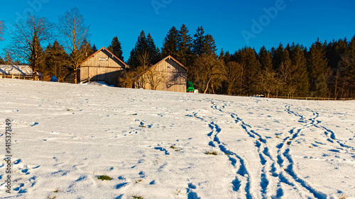 Alpine winter view near the famous Wieskirche church at Steingaden, Weilheim-Schongau, Bavaria, Germany photo