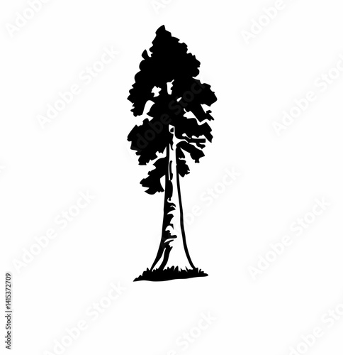 Redwood tree vector silhouette, black and white