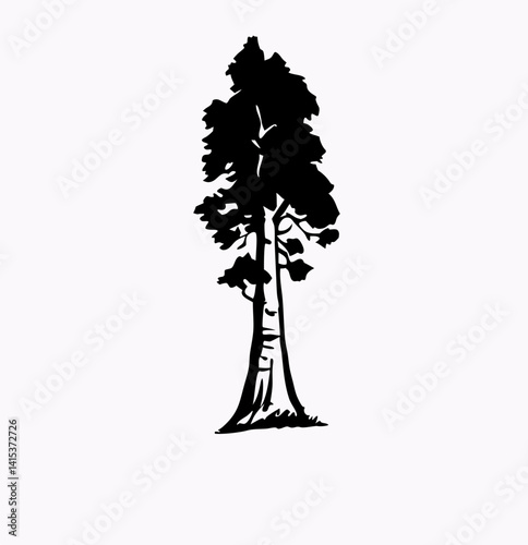 Redwood tree vector silhouette, black and white