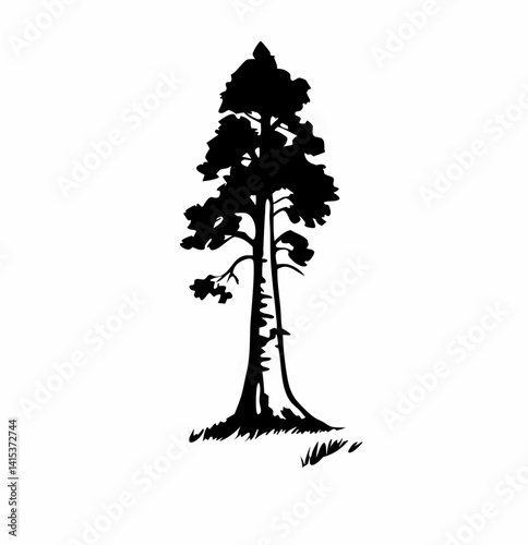 Redwood tree vector silhouette, black and white