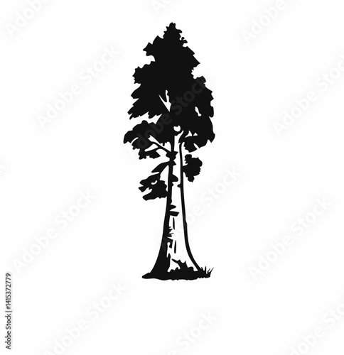 Redwood tree vector silhouette, black and white