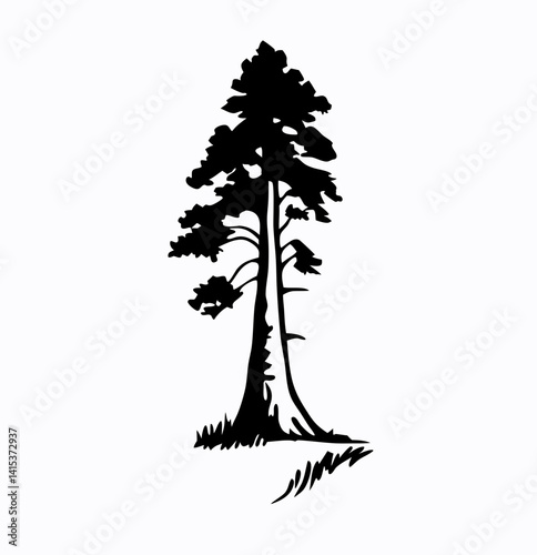 Redwood tree vector silhouette, black and white