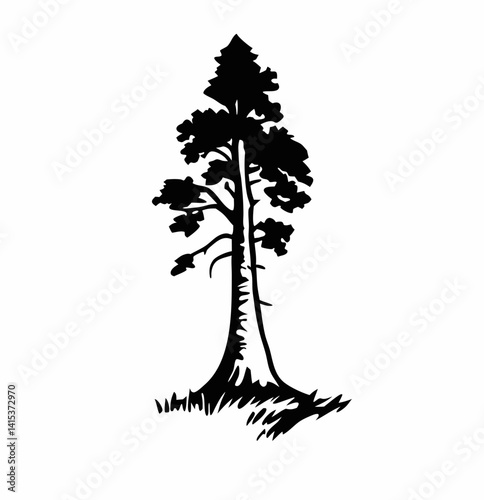 Redwood tree vector silhouette, black and white