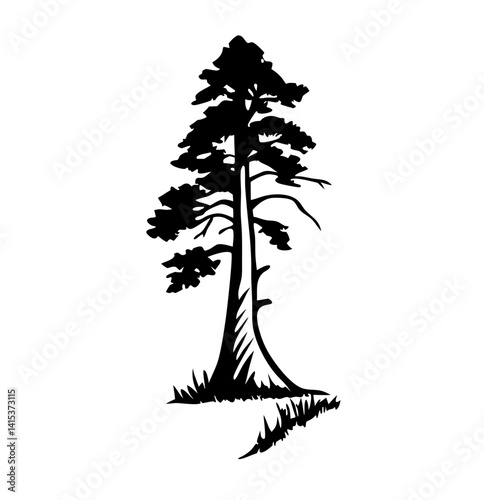Redwood tree vector silhouette, black and white