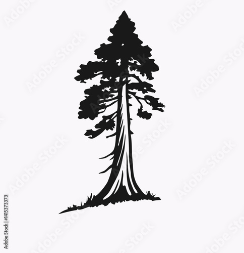 Redwood tree vector silhouette, black and white
