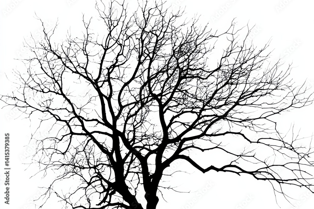 Fototapeta premium An artistic representation of nature with a simple white background highlights the tree's silhouette.