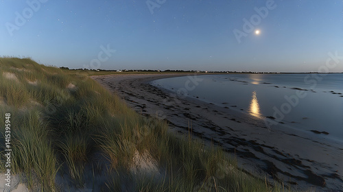 Night view of a serene beach landscape Moon light reflects off water creating a peaceful starlit ambiance Tall grass
