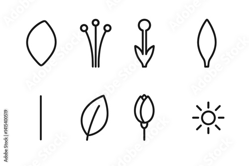 outline vector icons of flower parts: petal, stamen, pistil, sepal, stem, leaf, bud, pollen grain. set of line style icons in a modern, minimalist design.