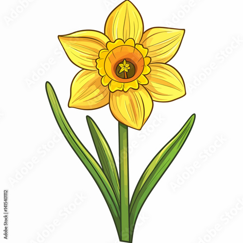 yellow daffodil flower