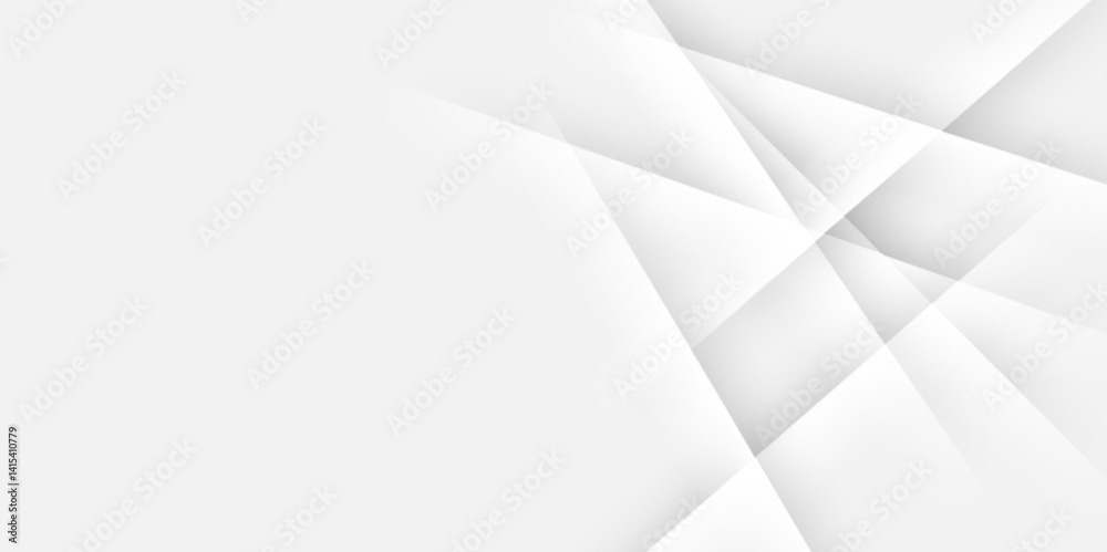 Elegant abstract background with grey lines with shadow. Subtle abstract background, blurred patterns. vector presentation background for poster, banner, wallpaper, mockup, flyer, and report. vector..