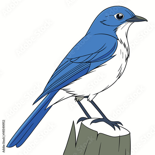 Minimalist Bird Silhouette and Colorful Exotic Bird Perched on Branch Collection.