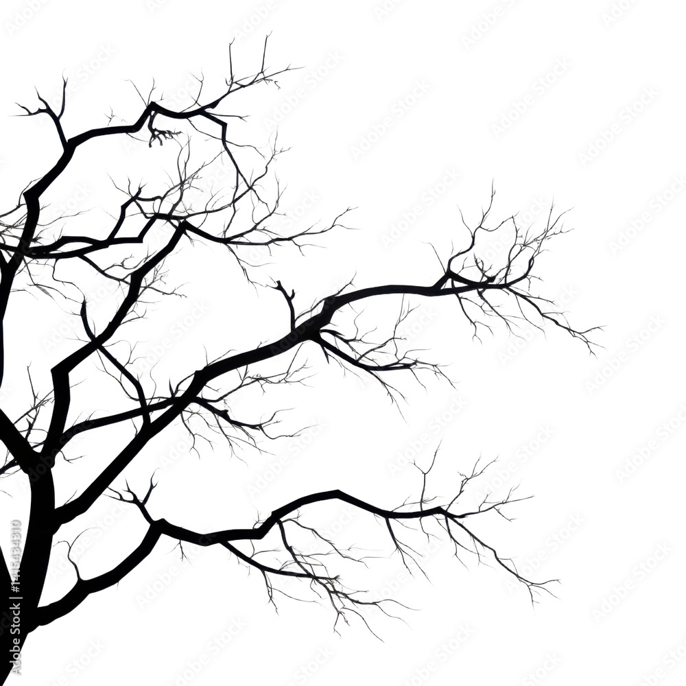 tree branches shadow isolated on transparent background. tree branches shadow isolated on transparent background.