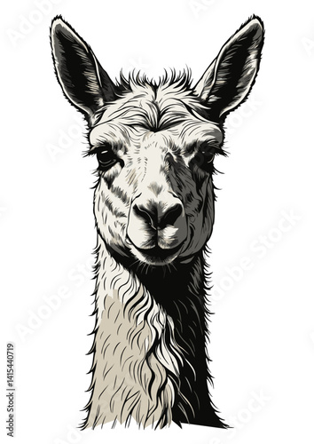 Llama Portrait Clipart