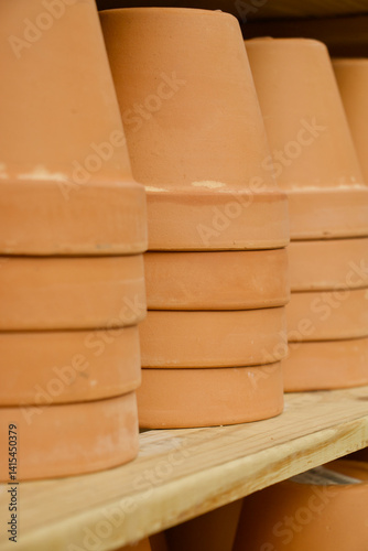 Rustic Terracotta Pots with Plants in a Sunlit Garden Setting