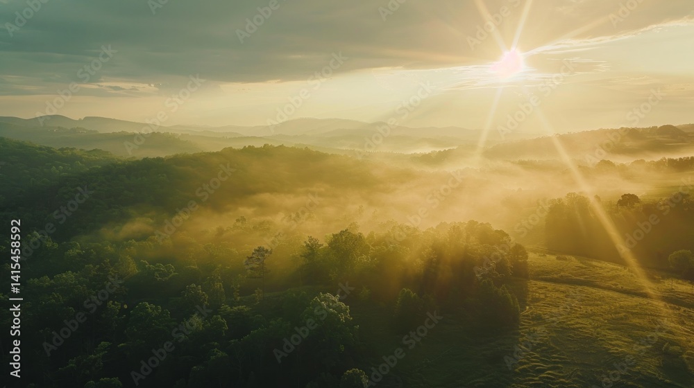Obraz premium Sunrise over misty forest landscape