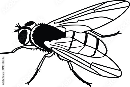 mosquito sucking blood