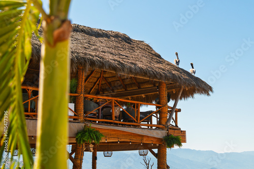Φωτογραφία Pelicans roost on top of a thatched hut roof on a seaside cafe in the Romantic Zone of Puerto Vallarta, Mexico