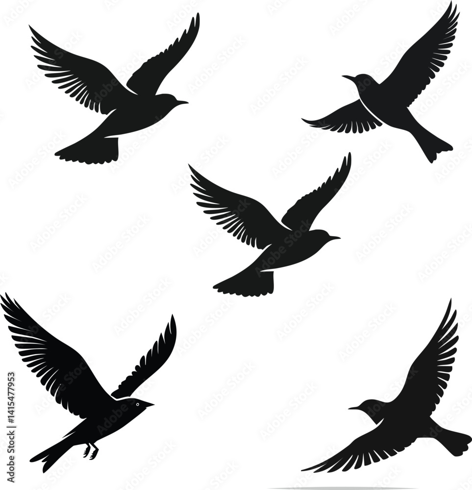 Fototapeta premium black silhouette birds set vector 