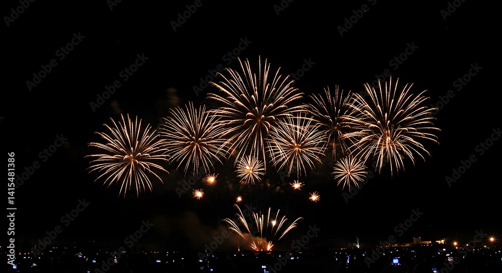 Celebrating with Fireworks Exploding in the Dark Sky Celebrating with Fireworks Exploding in the Dark Sky