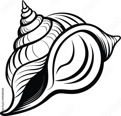 silhouette vector of a conch shell, vector illustration 