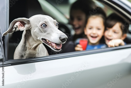 Happy Greyhound Dog Enjoys First Road Trip with Kids in Car