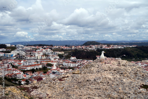 A seagull perches on a rocky ledge overlooking a vibrant town with red-roofed buildings, set against a backdrop of rolling hills and a cloudy sky. Nazaré, Portugal