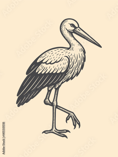 Engraved stork bird standing. vintage vector illustration