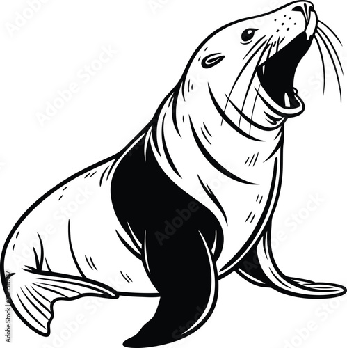 sea lion vector