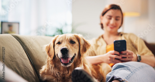 Obraz na płótnie Happy, relax and woman with dog on sofa for bonding, love and chill together in living room. Home, pet and person with Golden Retriever on smartphone for chat, social media and internet on weekend w salonie