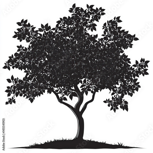 fruit tree silhouette , bla...