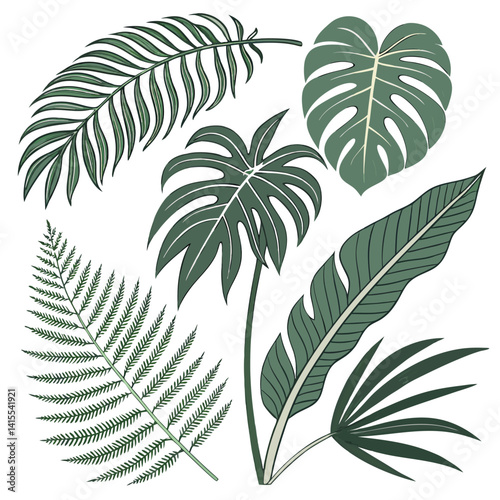 Tropical leaves illustration, botanical art, green foliage, monstera leaf