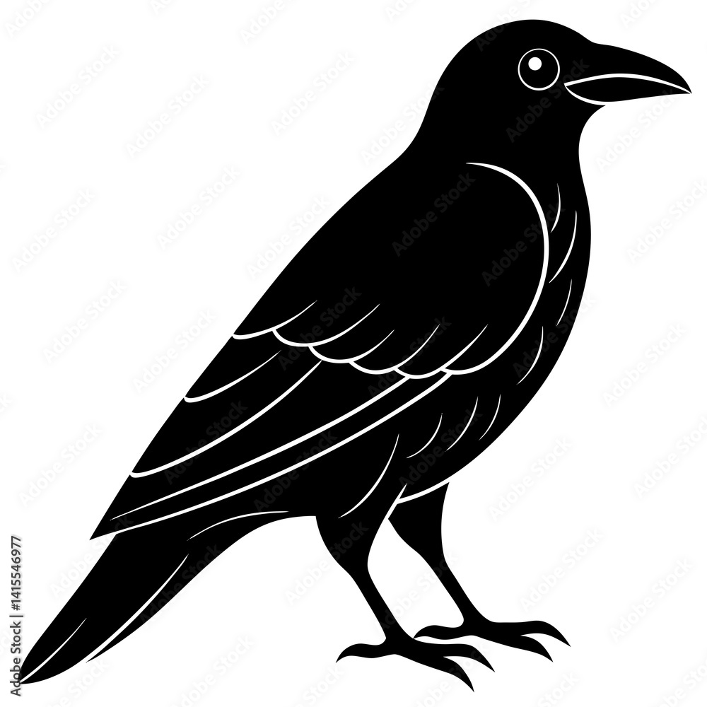Obraz premium Animal Raven silhouette vector illustrator