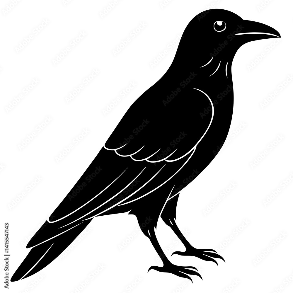 Obraz premium Animal Raven silhouette vector illustrator