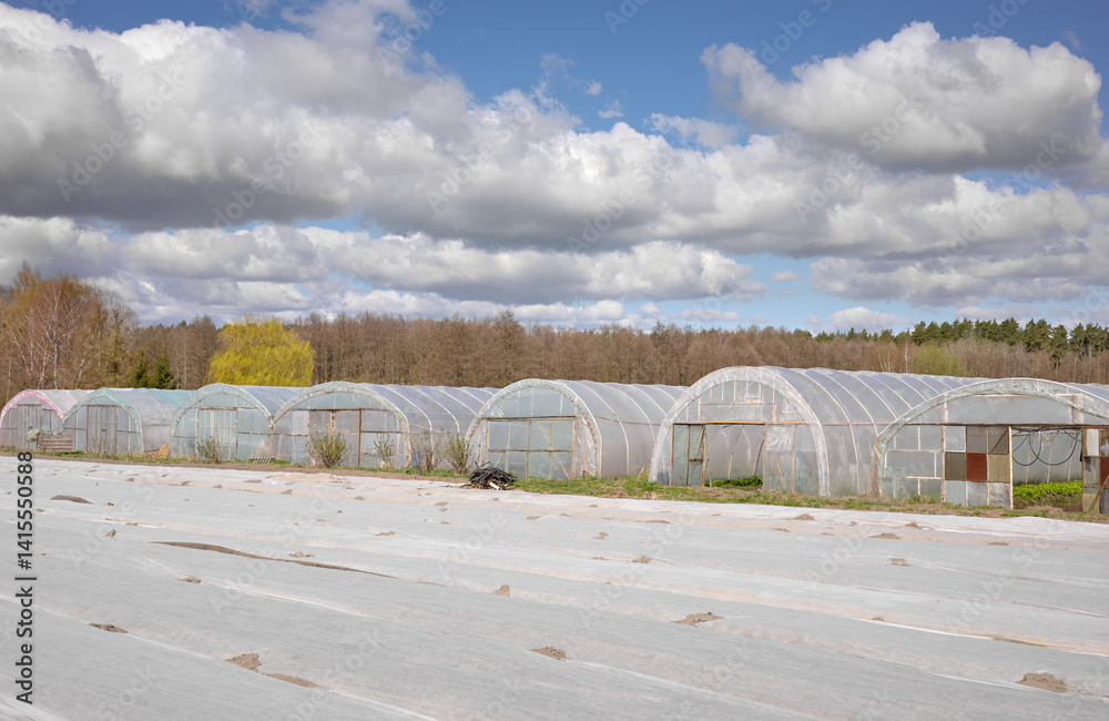 Organic farm with polytunnels and agrotextile covering vegetable beds.