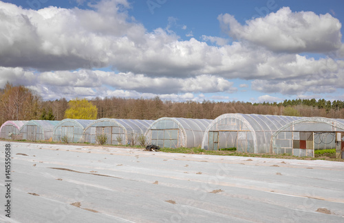 Obraz na płótnie Organic farm with polytunnels and agrotextile covering vegetable beds. w salonie