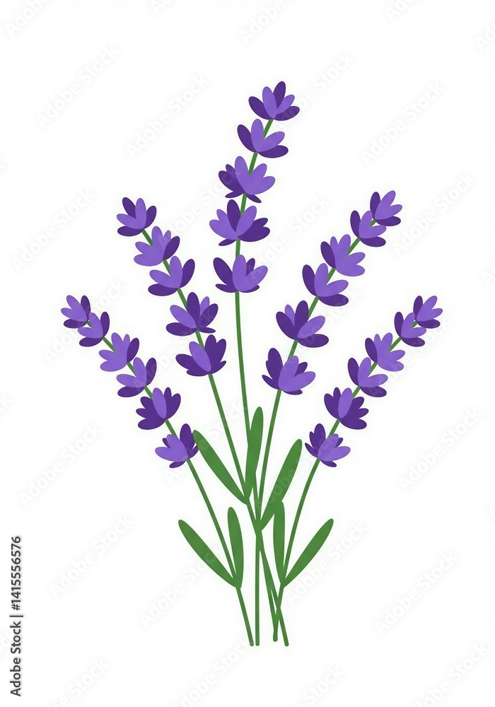 Obraz premium lavender flowers illustration 