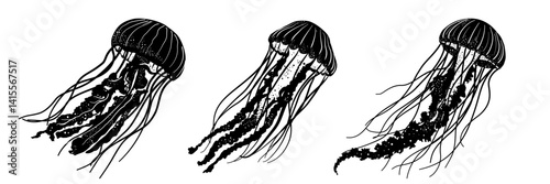 Set of  black silhouette of a jellyfish – vector illustration