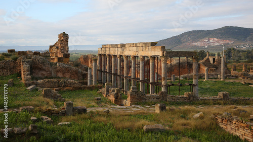 Palestra de Petroni, Yacimiento Thuburbo Majus, El Fahs, Túnez