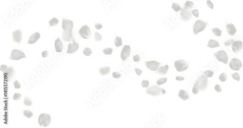 Light gray rose petal flying circling isolated element, greeting card decoration