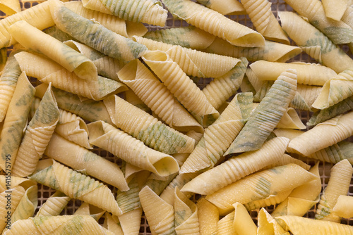 Gargannelli fresos al huevo con albahacas hechos a mano artesanalmente con herramientas italianas photo