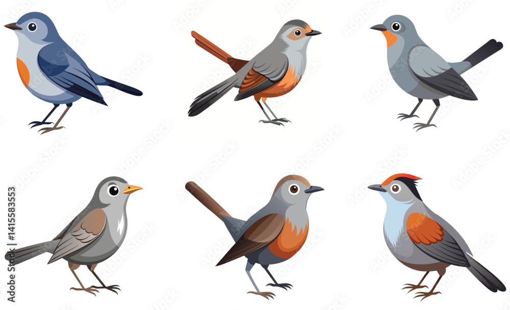 Set of Catbird bird isolated on white background Set of Catbird bird isolated on white background